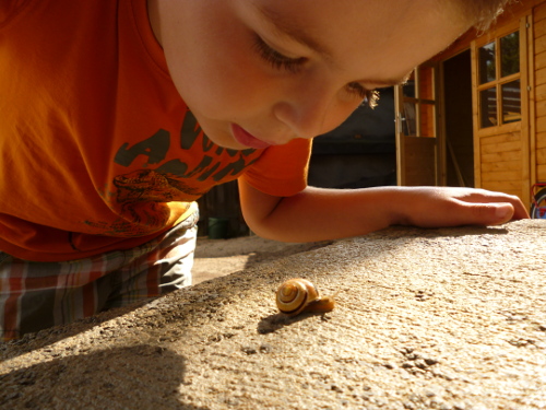 Laurin mit Schnecke k