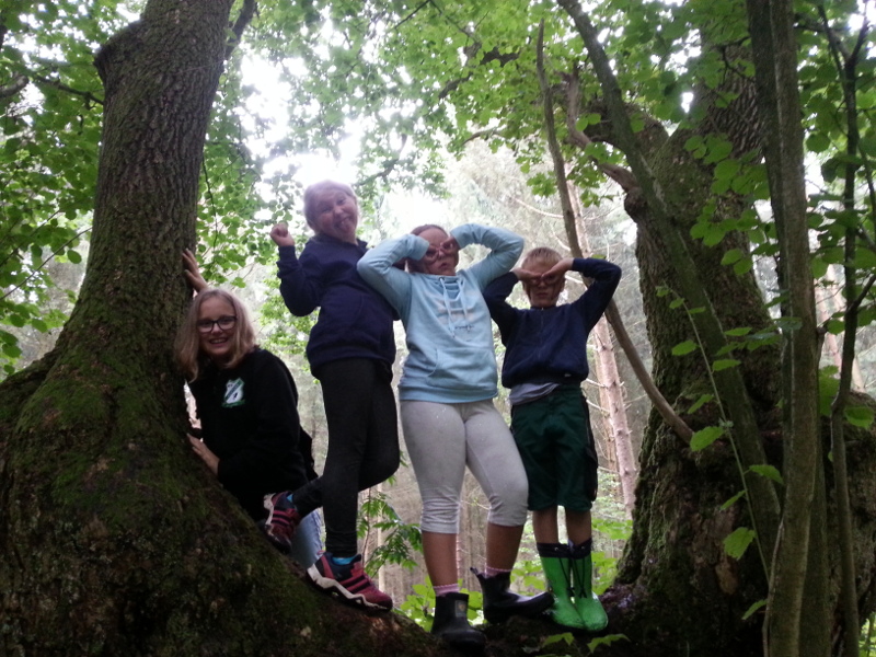 Wald